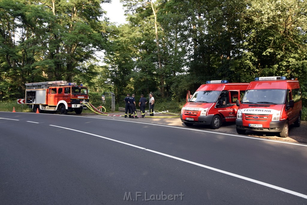 Waldbrand Koeln Hoehenhaus Hoehenfelder Mauspfad P209.JPG - Miklos Laubert